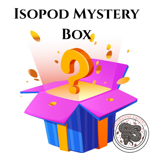 Isopod Mystery Box - RedRayne Exotics 