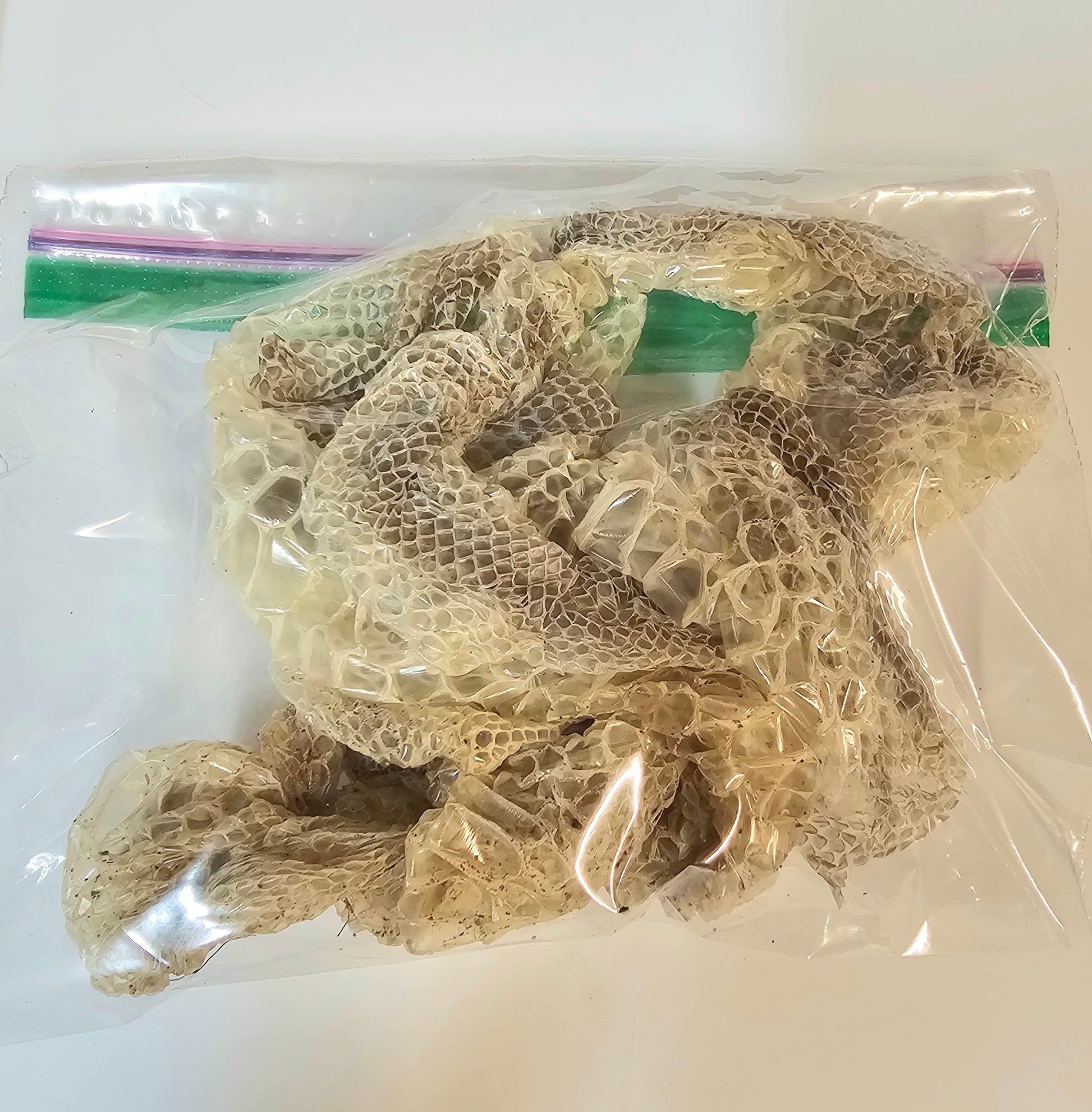 Snake Shed Isopod Treat