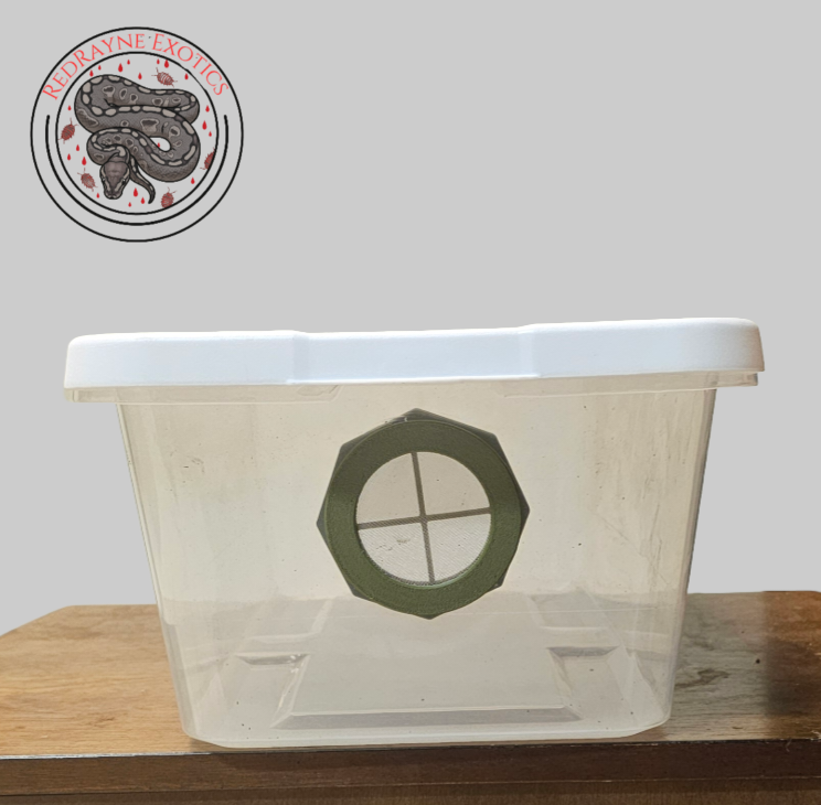 Ventilated 6qt Isopod Bin
