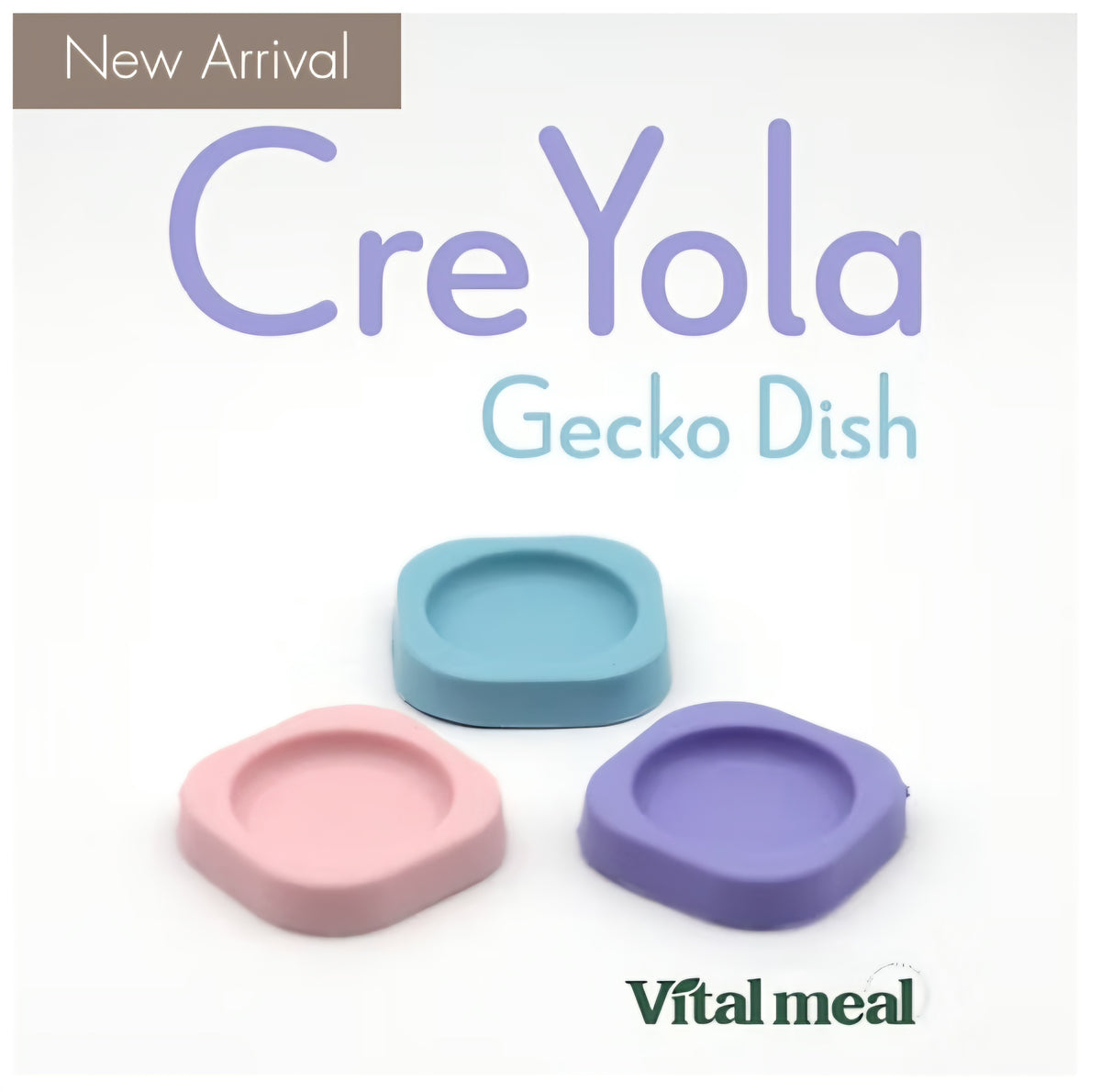 Cre Yola Gecko Dish